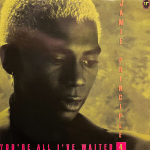 Jamie Principle – You're All I've Waited 4 (Vinyl 12", 1992)