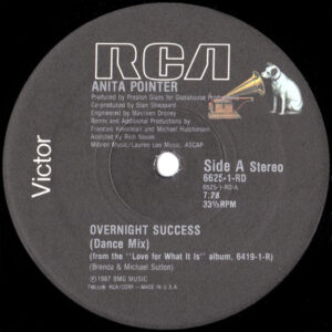 Anita Pointer – Overnight Success (Vinyl 12" 33 ⅓ RPM Stereo, 1987)
