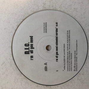 N.I.C. – I'm All You Need (Vinyl 12", 2002)