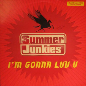 Summer Junkies – I'm Gonna Luv U (Vinyl 12" Maxi-Single 33 ⅓ RPM, 1997)