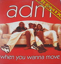Adm – When You Wanna Move (Remix) (Vinyl 12", 1997)