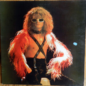Michel Polnareff – Michel Polnareff (Vinyl LP Album Stereo, 1974)